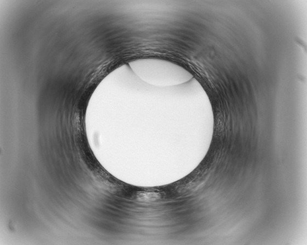 X0000095550220200712281613