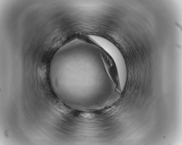 X0000095550221200712281613