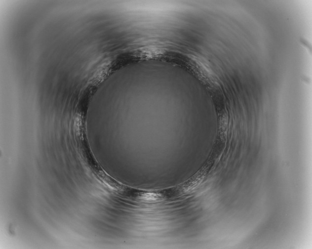 X0000095550222200712281613