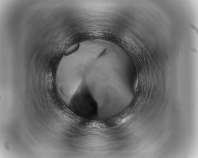 X0000095550223200712281613