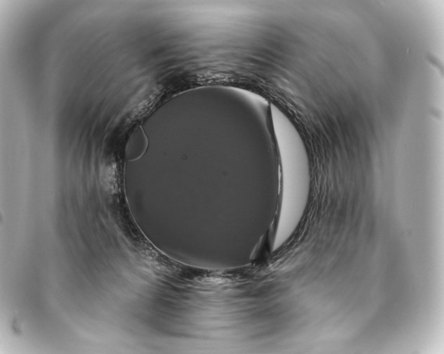 X0000095550224200712281613