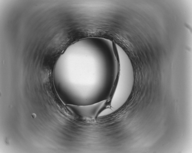 X0000095550225200712281613