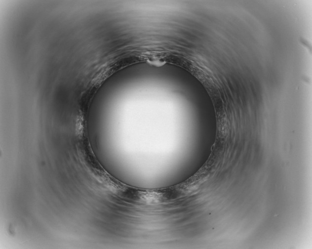 X0000095550226200712281613