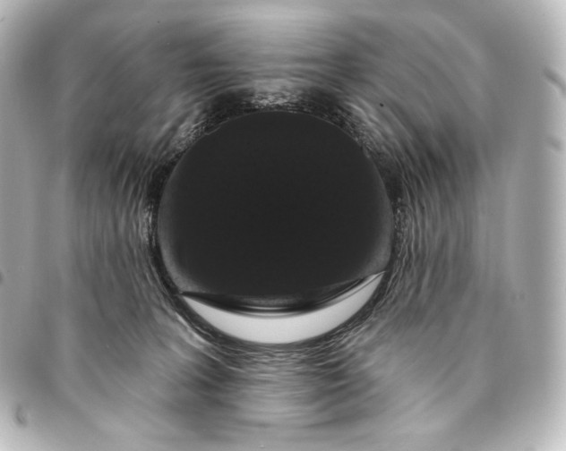 X0000095550227200712281613