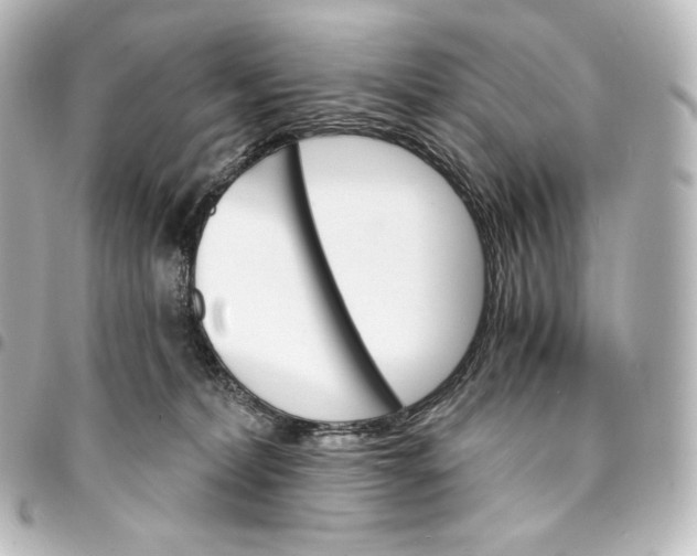 X0000095550228200712281613