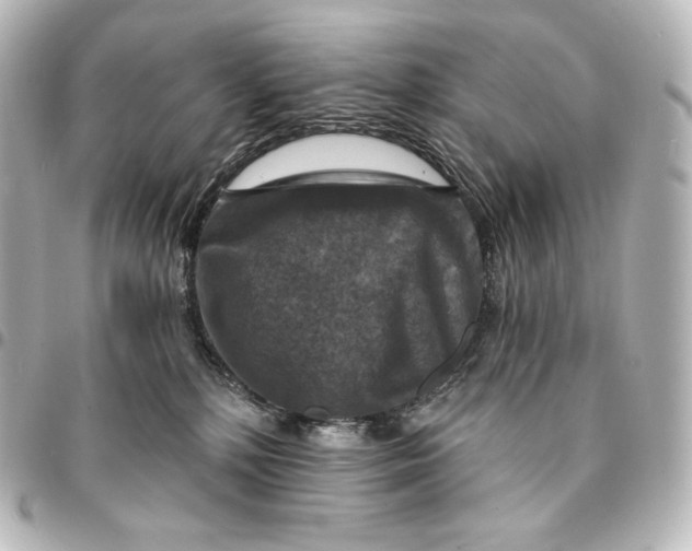 X0000095550232200712281613