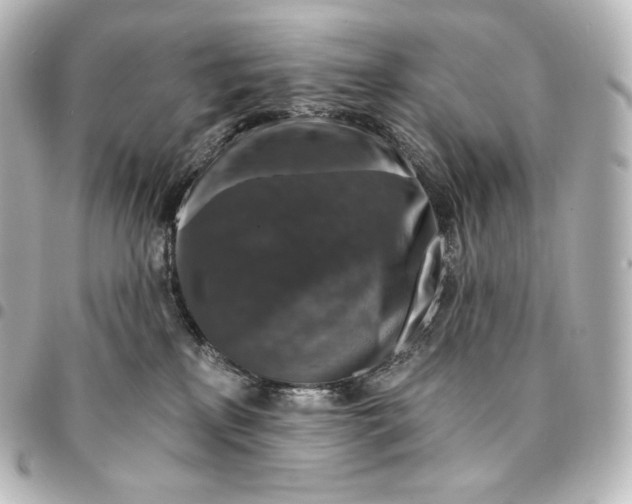 X0000095550233200712281613