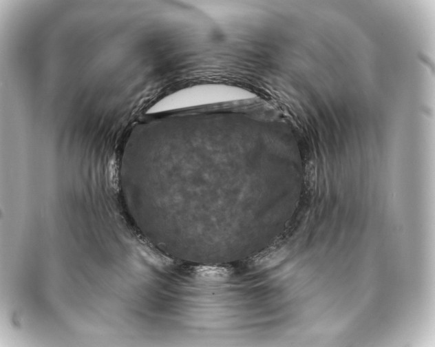 X0000095550234200712281613