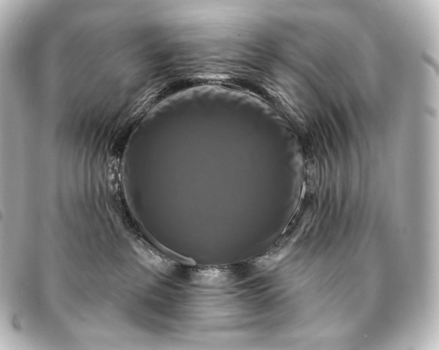 X0000095550237200712281613