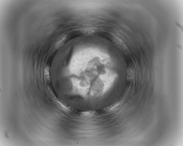 X0000095550238200712281613