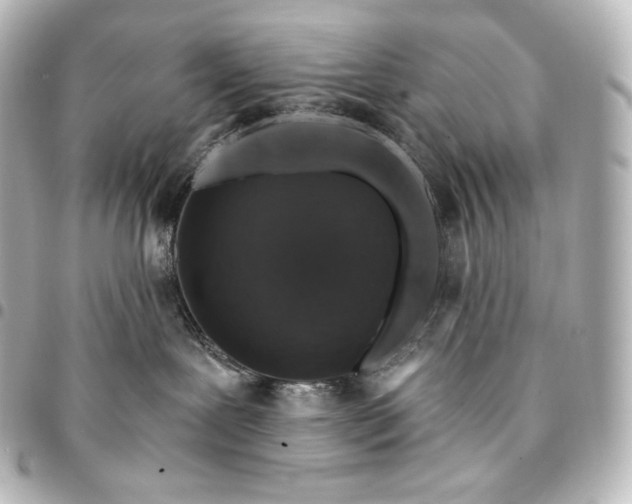 X0000095550239200712281613