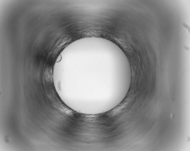 X0000095550240200712281613