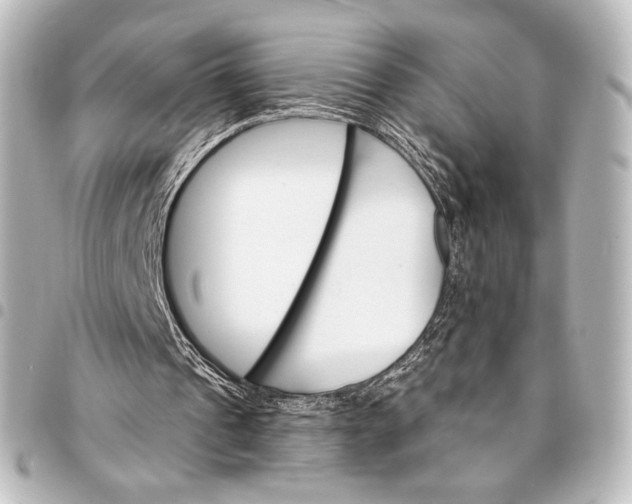 X0000095550241200712281612