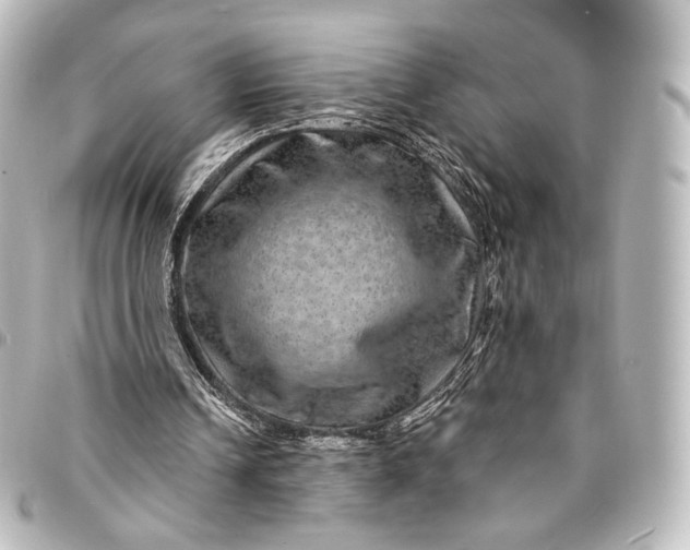 X0000095550242200712281612