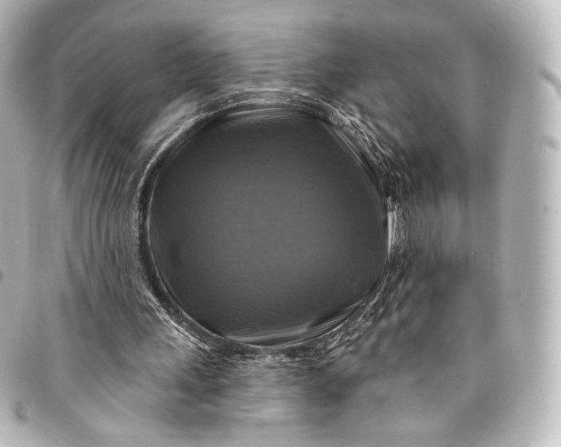 X0000095550243200712281612