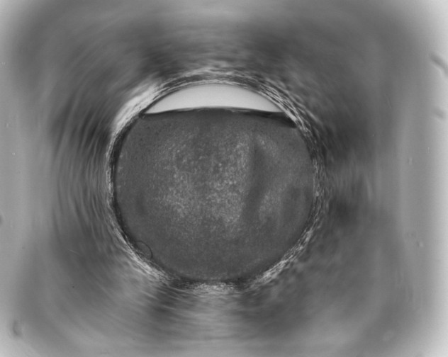 X0000095550245200712281612