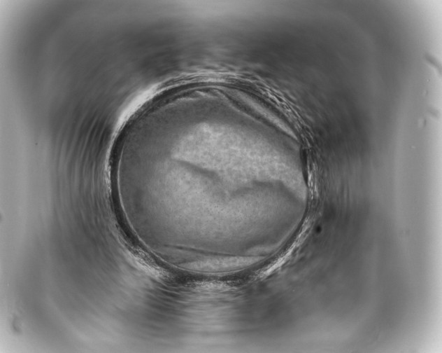 X0000095550246200712281612