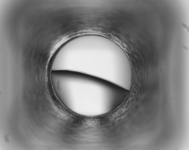 X0000095550248200712281612