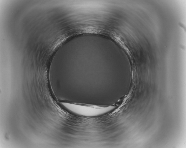 X0000095550249200712281612