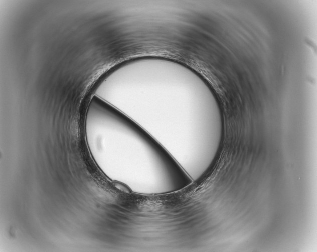 X0000095550252200712281612