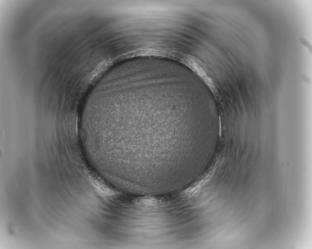 X0000095550253200712281612