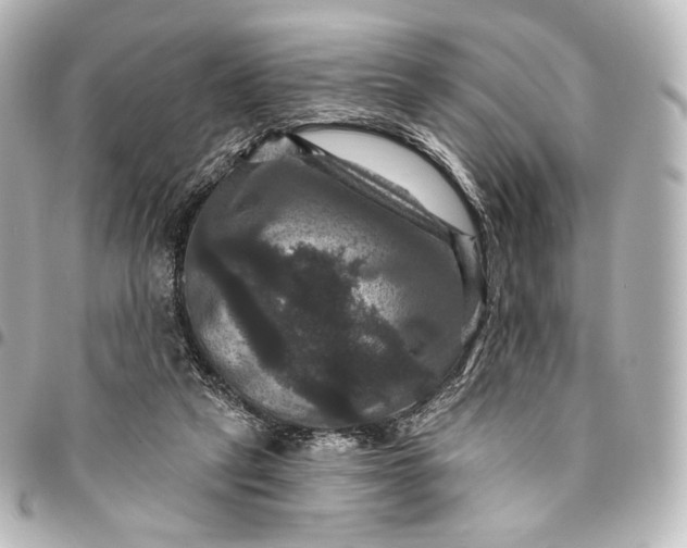 X0000095550257200712281612