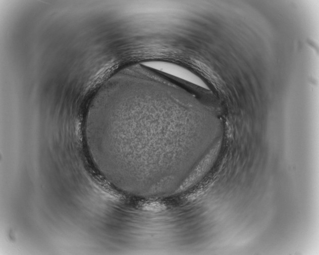 X0000095550258200712281612