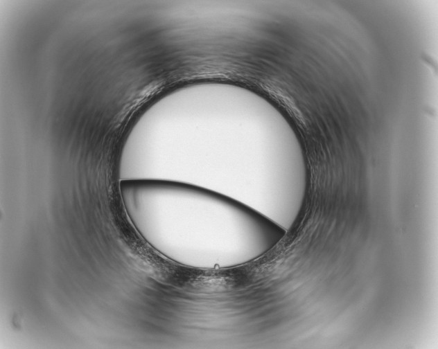 X0000095550260200712281612