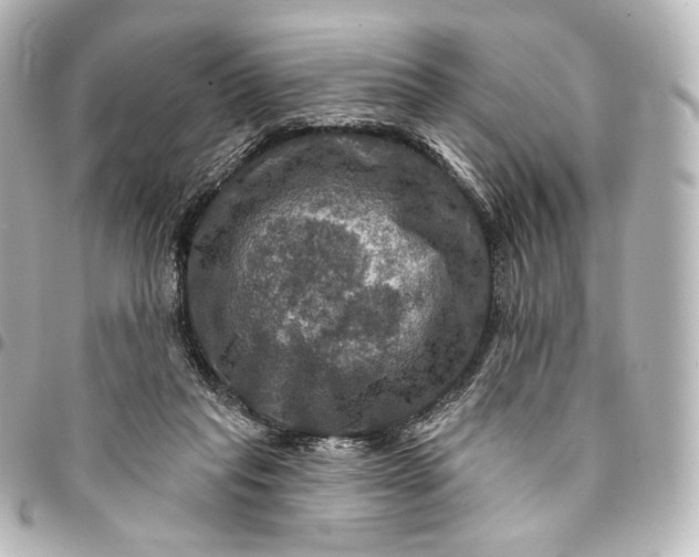 X0000095550261200712281612