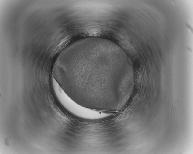 X0000095550262200712281612