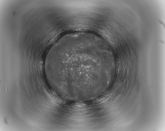 X0000095550263200712281612