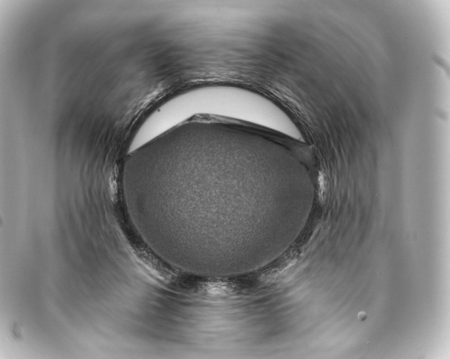 X0000095550264200712281612