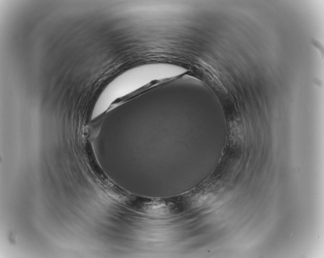 X0000095550267200712281612