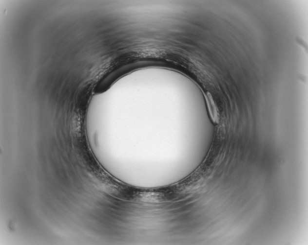 X0000095550268200712281612