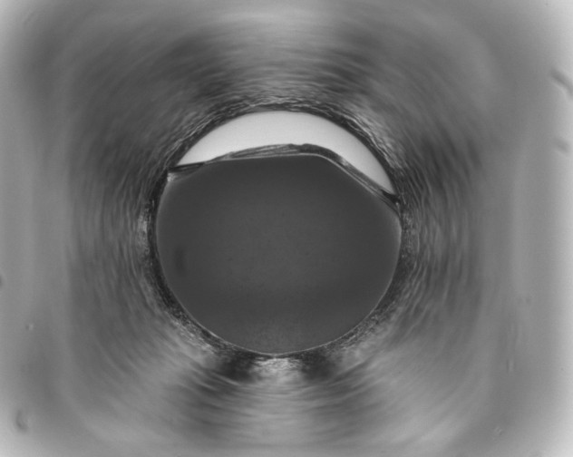 X0000095550269200712281612