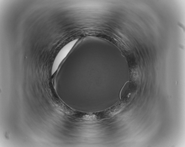 X0000095550271200712281612