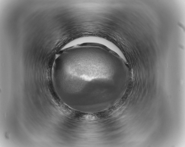 X0000095550272200712281612