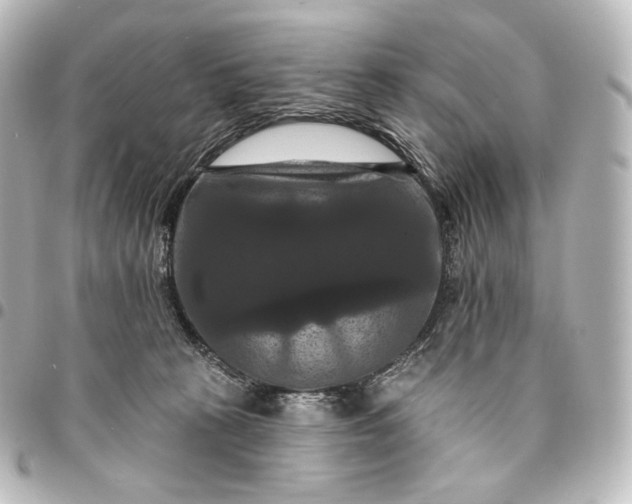 X0000095550273200712281612