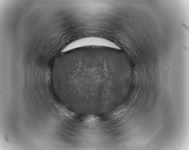 X0000095550274200712281612