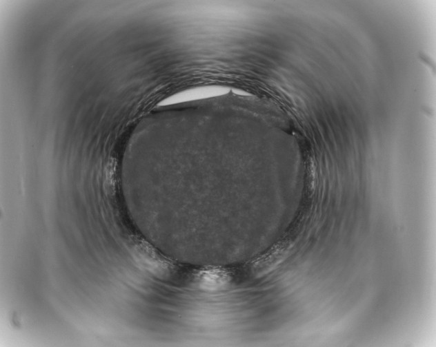 X0000095550275200712281612