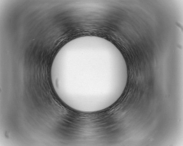 X0000095550276200712281612