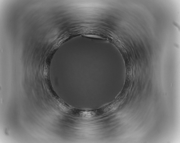 X0000095550277200712281612