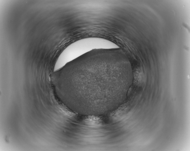 X0000095550278200712281612