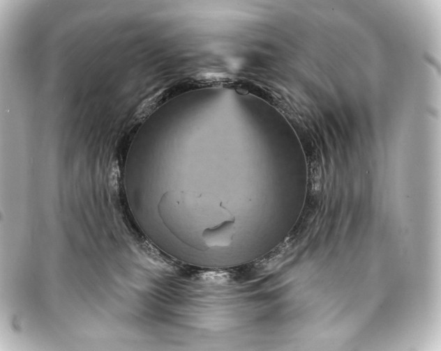 X0000095550279200712281612