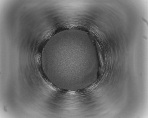 X0000095550280200712281612