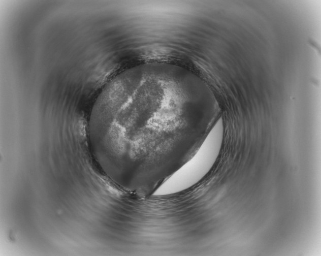 X0000095550282200712281612