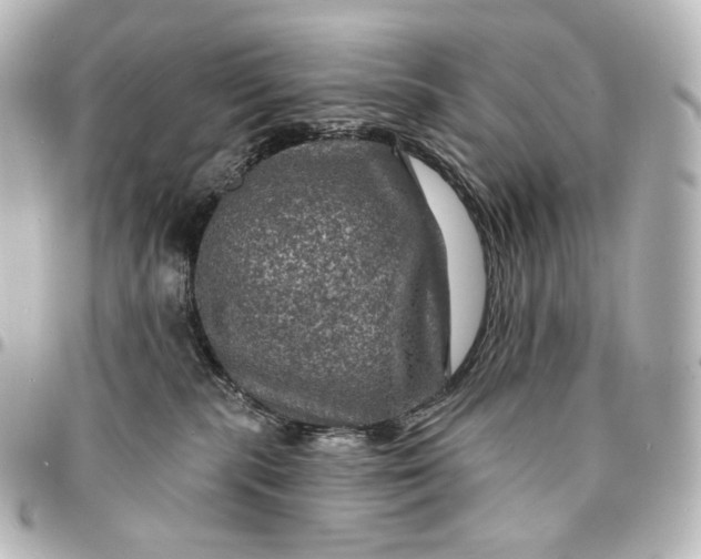 X0000095550283200712281612