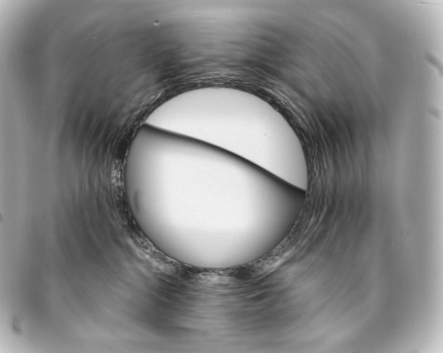 X0000095550284200712281612