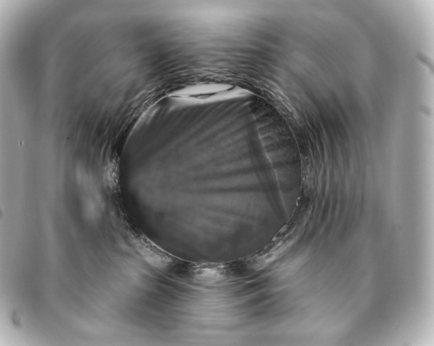 X0000095550285200712281613