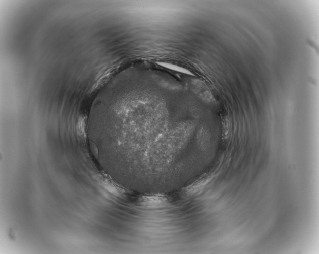 X0000095550286200712281613